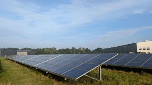 Ground-mounted solar array showing one of the main types of solar panels used in large-scale installations.