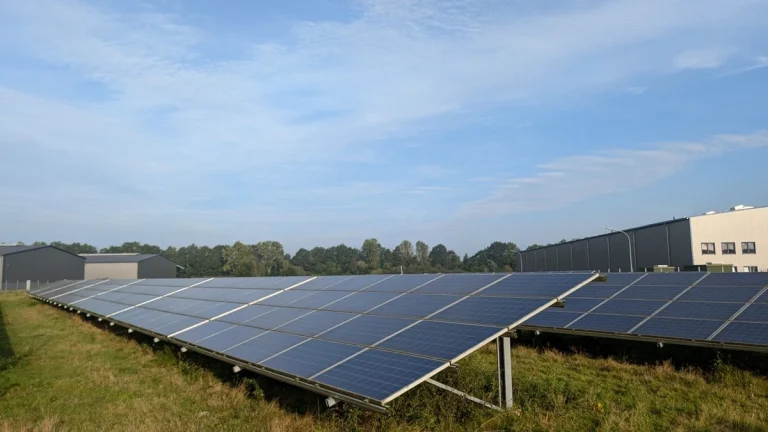 Ground-mounted solar array showing one of the main types of solar panels used in large-scale installations.